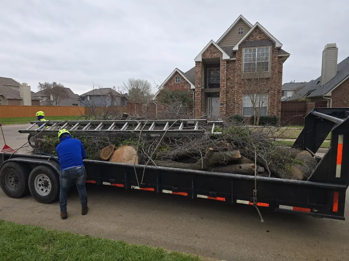 Expert Tree Pest Control with proper safety equipment in Isom